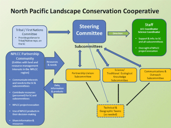 NPLCC Organizational Structure